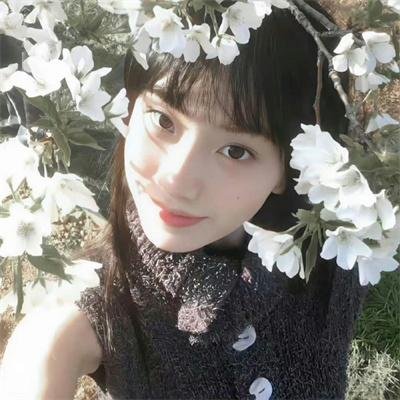 红楼梦第六部